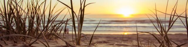 Beach Golden Hour Grass 1192671