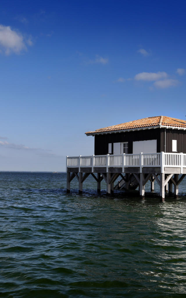 alain-vacheron-cabane-arcachon03.jpg