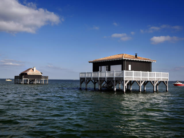 Alain Vacheron© Cabane Arcachon03