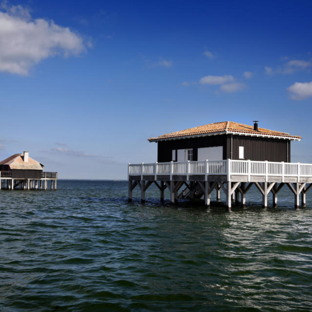 Alain Vacheron© Cabane Arcachon03