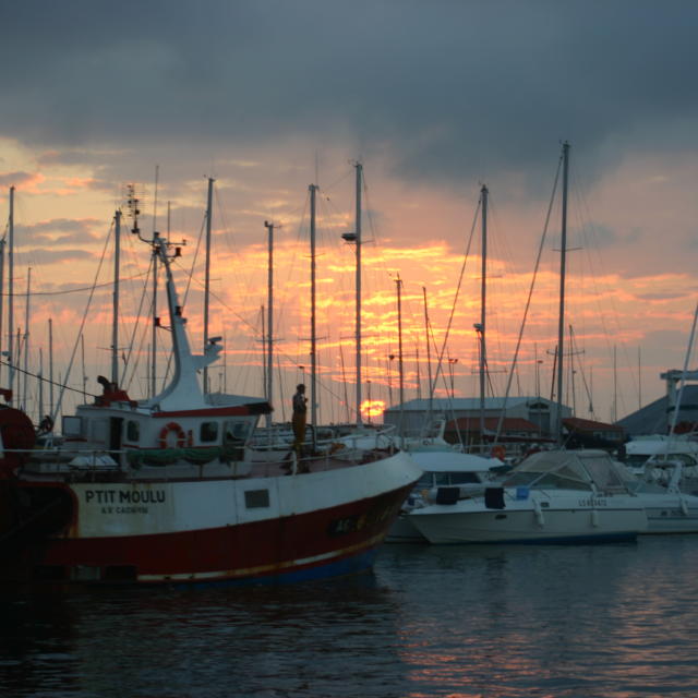 Bateaux Port De Pêche