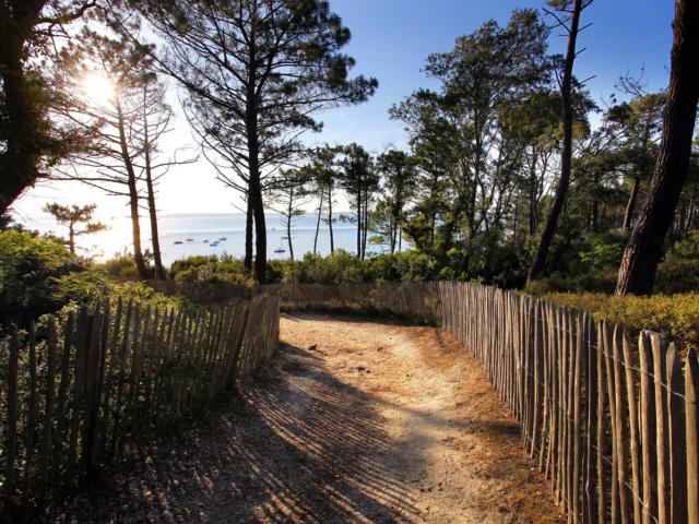 Coucher De Soleil Chemin