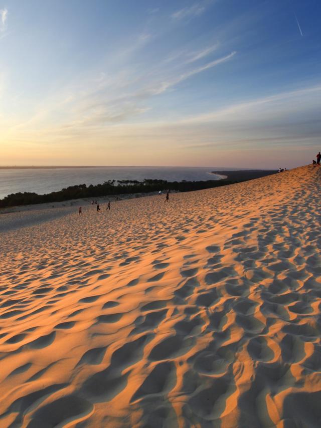 Coucher De Soleil Dune