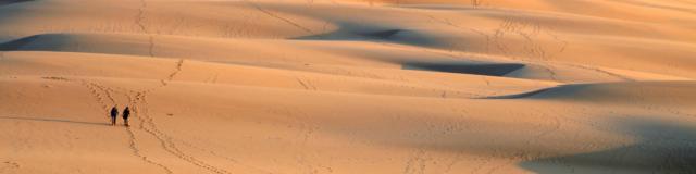 coucher-de-soleil-dune4.jpg