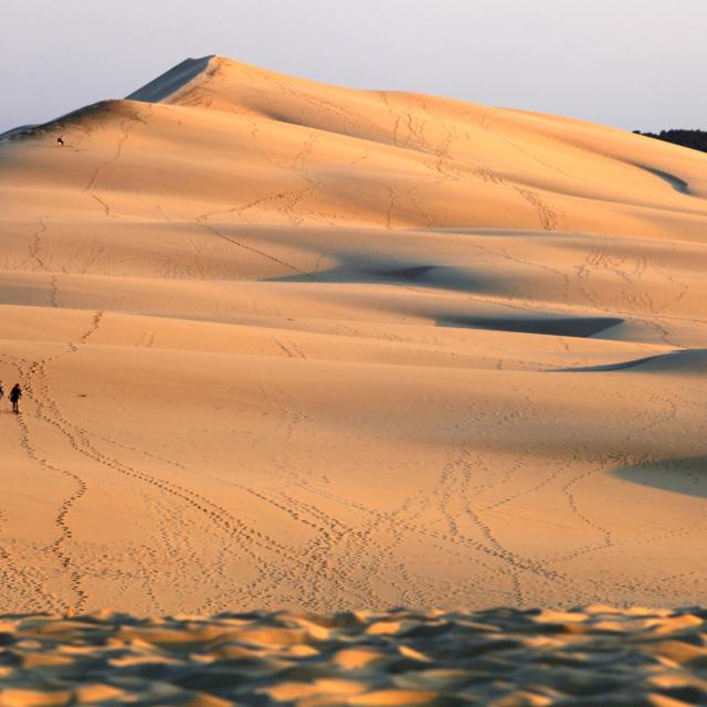 coucher-de-soleil-dune4.jpg