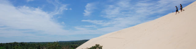 Dune Et Forêt@conteurs