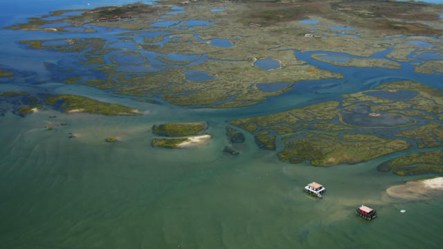 Ile Aux Oiseaux