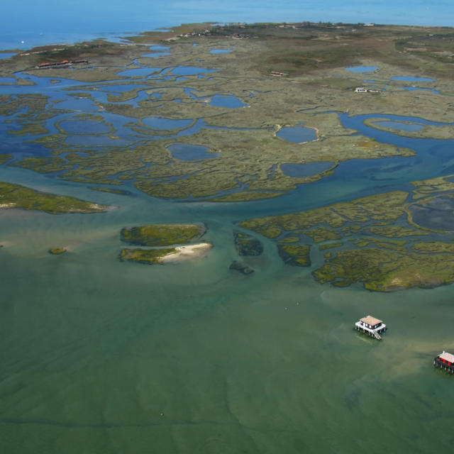 Ile Aux Oiseaux