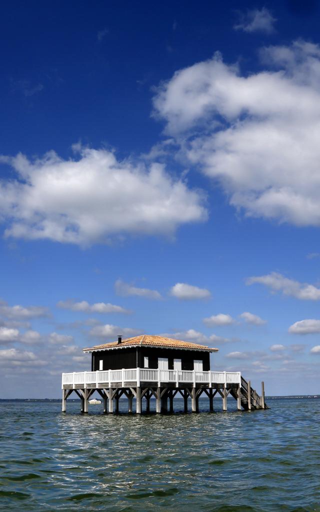 Alain Vacheron© Cabane Arcachon05