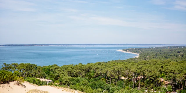 Forêt Et Océan@conteurs