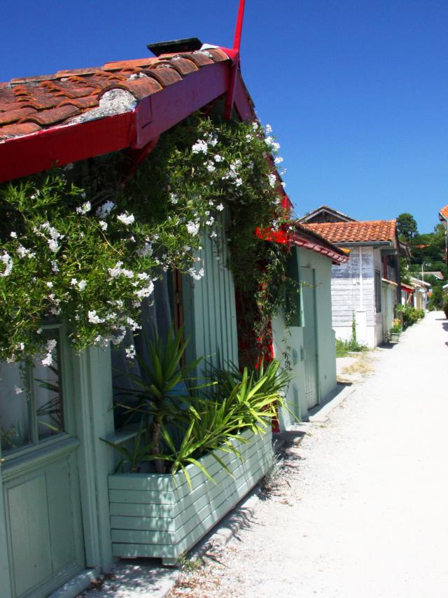 Village Ostreicole Cap Ferret