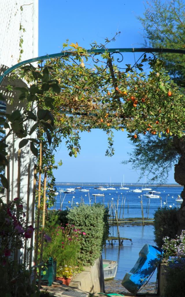 Village Ostréicole Cap Ferret6