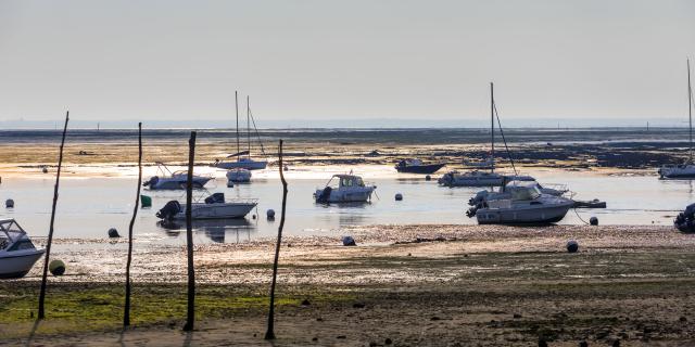 Plage aiguillon