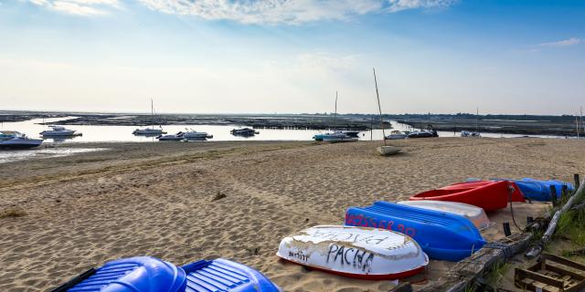 Plage aiguillon