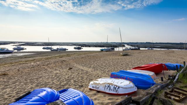 Plage aiguillon