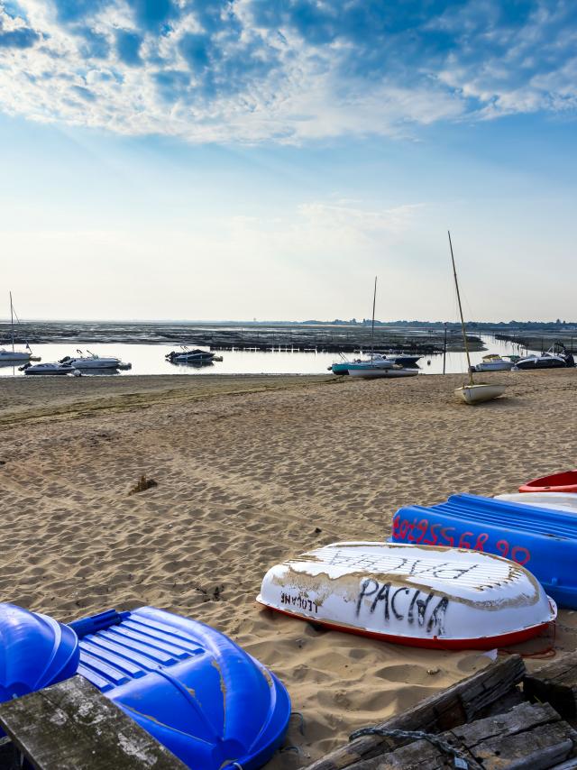 Plage aiguillon