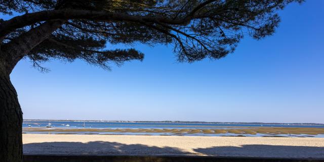 Plage Pereire