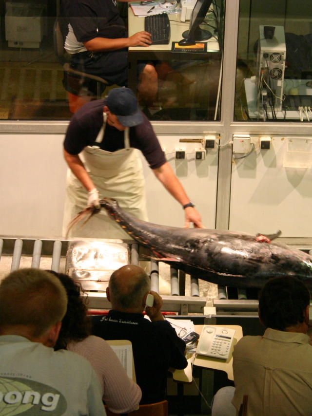 Vente De Poissoncriée