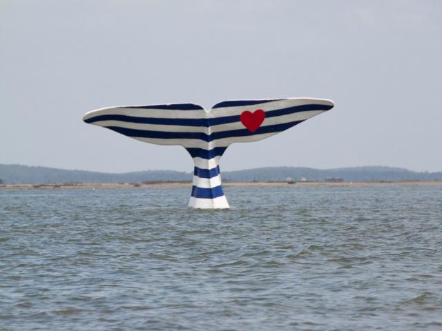 queue-de-la-baleine-arcachon.jpg