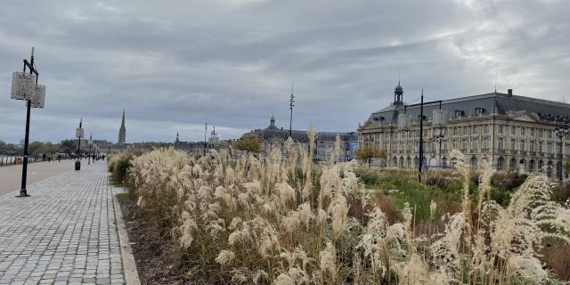 Bordeaux