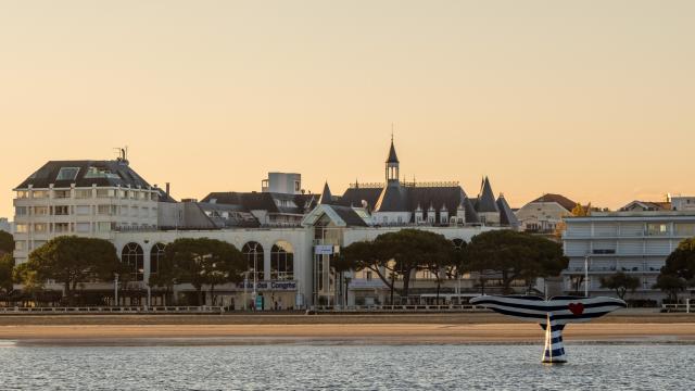 Palais Baleine